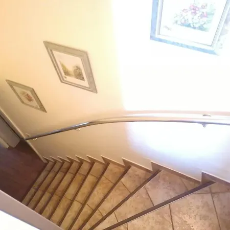 Haus-meisennest-wohnung-kiebitz *