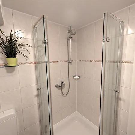 Haus-meisennest-wohnung-kiebitz 아파트 *